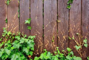 Colloidal Copper for Poison Ivy