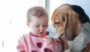 Colloidal Silver for Children and Pets