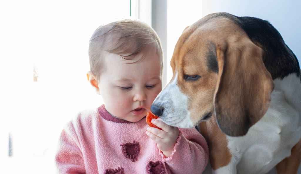 Colloidal Silver for Children and Pets